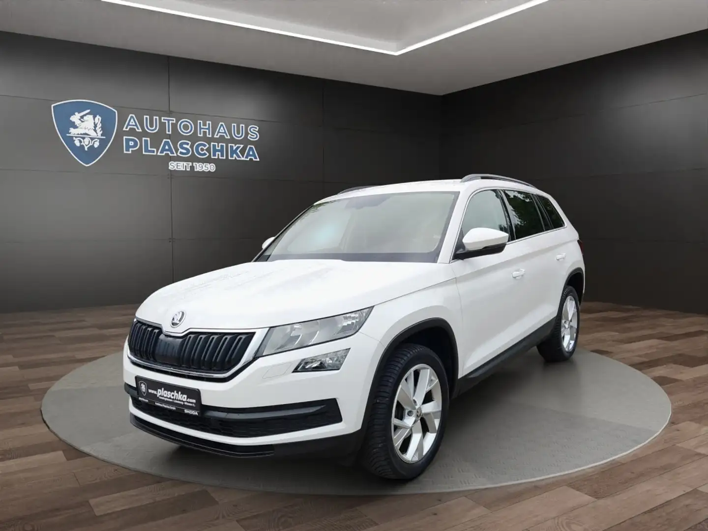 Skoda Kodiaq 1.5 TSI Ambition Klima Rückfahrkamera Sitzheizung Alb - 1