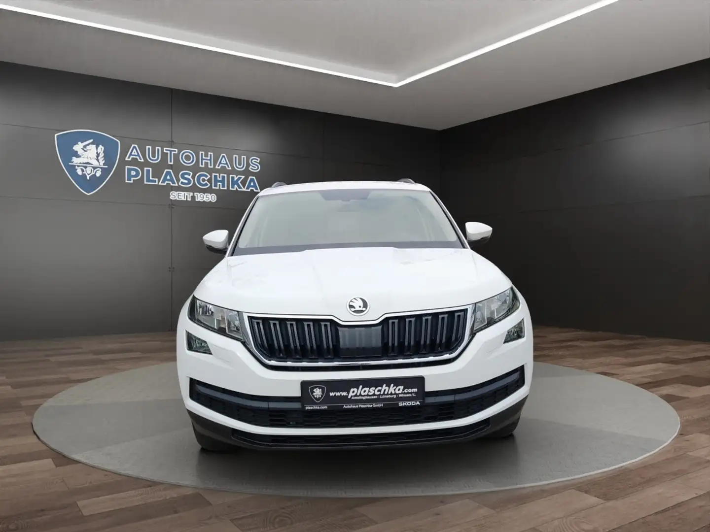Skoda Kodiaq 1.5 TSI Ambition Klima Rückfahrkamera Sitzheizung Alb - 2
