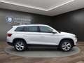 Skoda Kodiaq 1.5 TSI Ambition Klima Rückfahrkamera Sitzheizung Alb - thumbnail 4