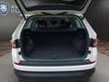 Skoda Kodiaq 1.5 TSI Ambition Klima Rückfahrkamera Sitzheizung Alb - thumbnail 21