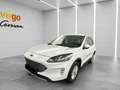Ford Kuga 2,5 Duratec PHEV TITANIUM Automatik Weiß - thumbnail 1