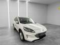 Ford Kuga 2,5 Duratec PHEV TITANIUM Automatik Weiß - thumbnail 4