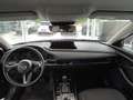 Mazda CX-30 e-Skyactive G122 Homura Aut. Grau - thumbnail 12