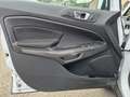 Ford EcoSport 1.0 EcoBoost 100 CV Connect Bianco - thumbnail 13
