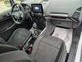 Ford EcoSport 1.0 EcoBoost 100 CV Connect Bianco - thumbnail 15