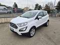 Ford EcoSport 1.0 EcoBoost 100 CV Connect Bianco - thumbnail 2