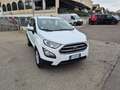 Ford EcoSport 1.0 EcoBoost 100 CV Connect Bianco - thumbnail 4
