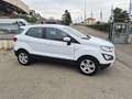 Ford EcoSport 1.0 EcoBoost 100 CV Connect Bianco - thumbnail 6