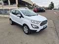 Ford EcoSport 1.0 EcoBoost 100 CV Connect Bianco - thumbnail 5