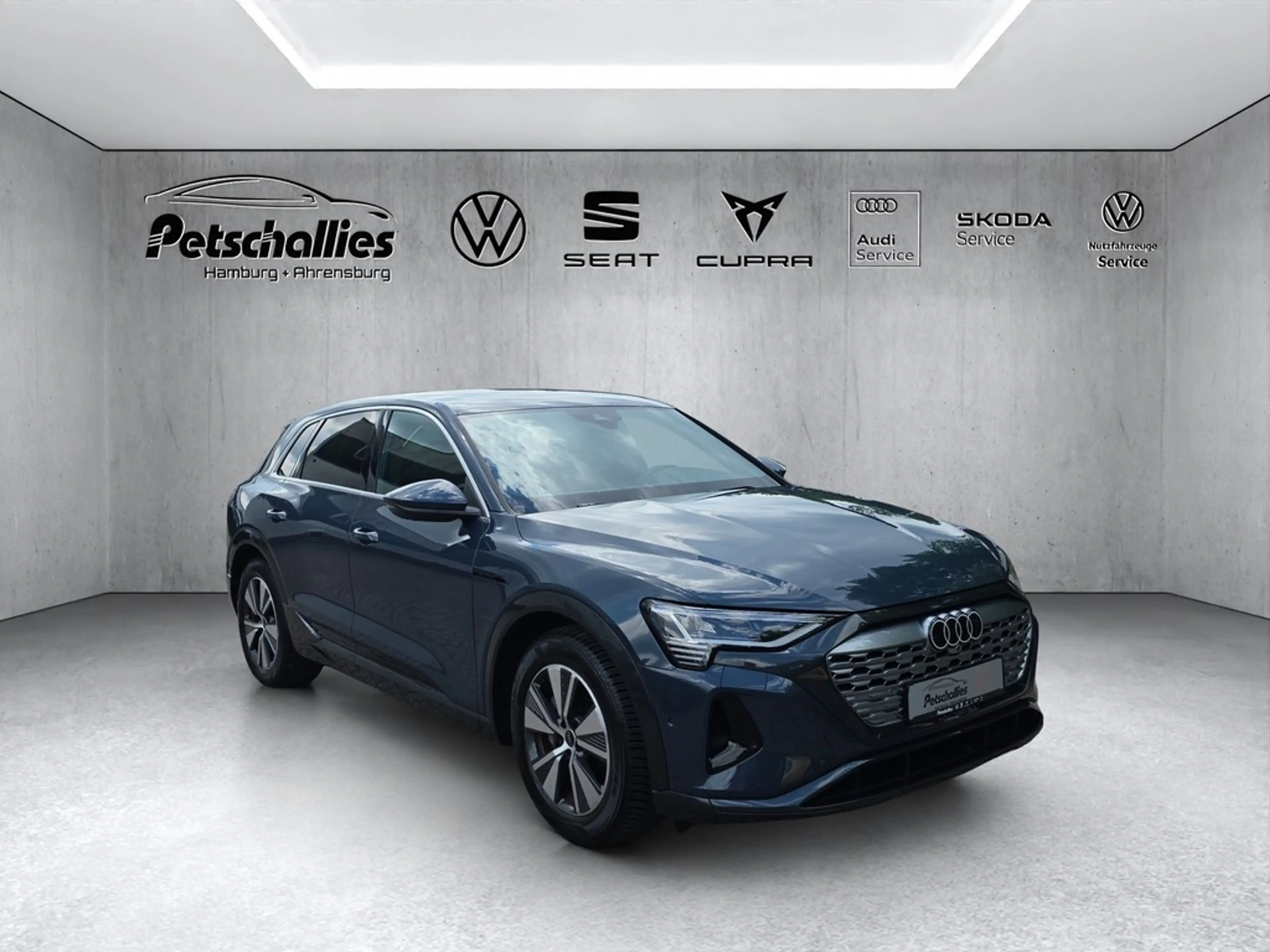 Audi Q8 e-tron 55 quattro advanced — photo 7