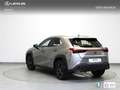 Lexus UX 250h Business 2WD - thumbnail 2