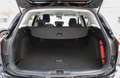 Ford Focus Active SW 1.0 ecoboost 125 Automatico co-pilot Nero - thumbnail 9