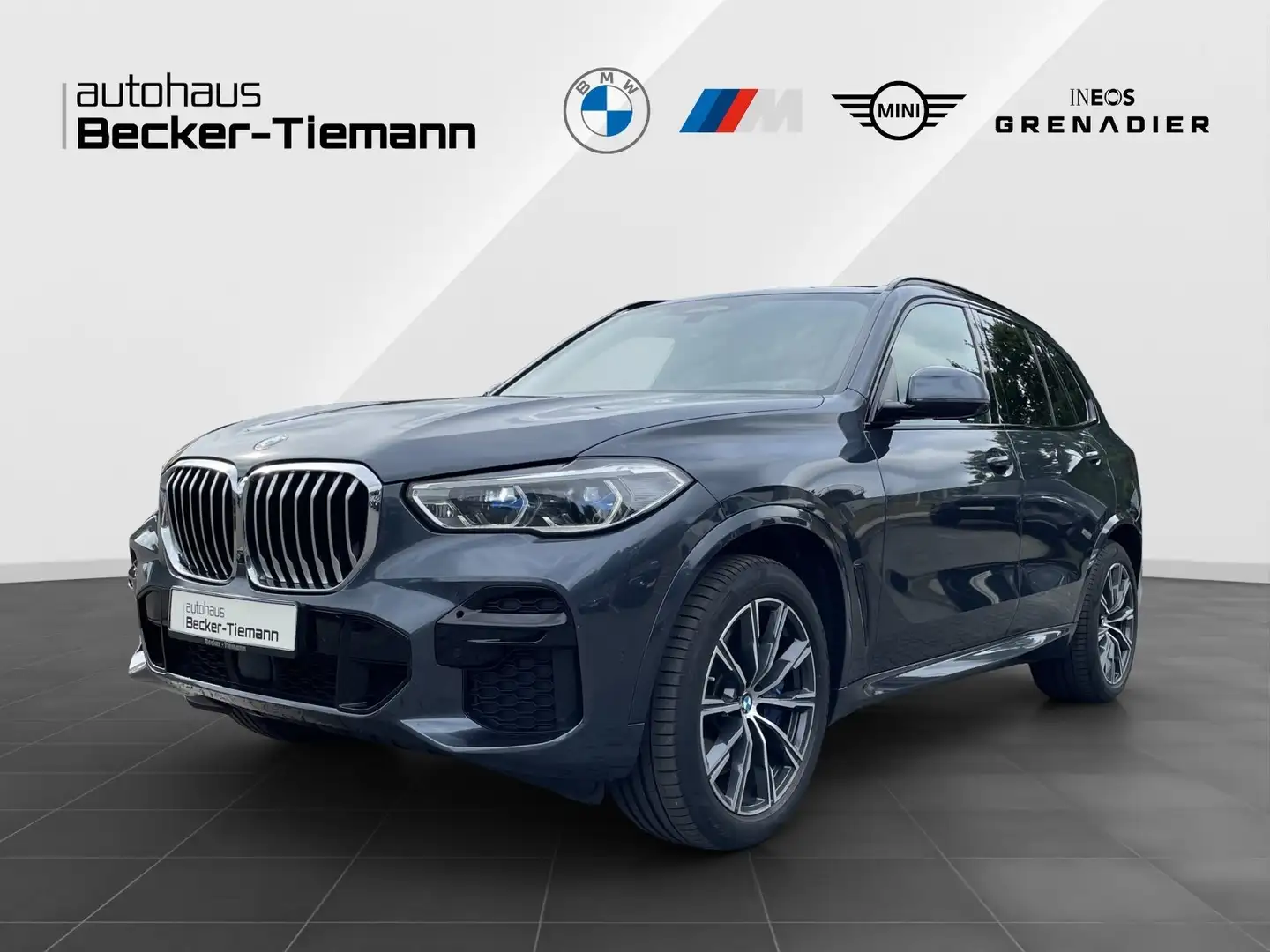 BMW X5 xDrive40d M Sport/ DrivAss Prof./ ParkAss+/ AHK/ S Gris - 1