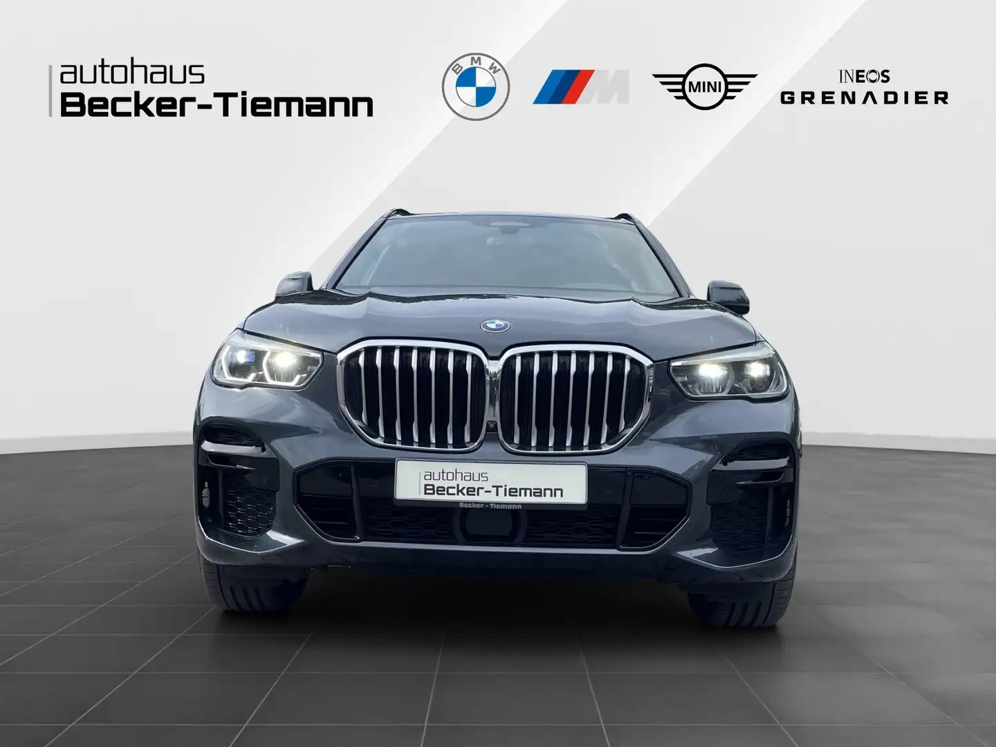 BMW X5 xDrive40d M Sport/ DrivAss Prof./ ParkAss+/ AHK/ S Gris - 2