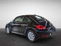 Volkswagen Beetle 1.2 TSI Design Navi PDC Xenon Klima Noir - thumbnail 5