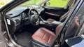 Lexus NX 300h Executive Line inclusief BTW Zwart - thumbnail 7