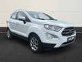 Ford EcoSport Titanium Temp+Navi+Kamera+Leder+PDCv+h+DAB Blanc - thumbnail 6