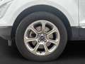 Ford EcoSport Titanium Temp+Navi+Kamera+Leder+PDCv+h+DAB Blanc - thumbnail 7