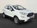 Ford EcoSport Titanium B&O+Temp+Navi+Kamera+Leder+PDCv+h+DAB White - thumbnail 6