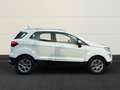 Ford EcoSport Titanium B&O+Temp+Navi+Kamera+Leder+PDCv+h+DAB White - thumbnail 5