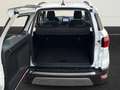 Ford EcoSport Titanium B&O+Temp+Navi+Kamera+Leder+PDCv+h+DAB White - thumbnail 8