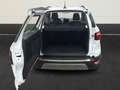 Ford EcoSport Titanium Temp+Navi+Kamera+Leder+PDCv+h+DAB Blanc - thumbnail 8