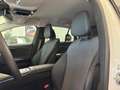Mercedes-Benz E 220 d T AVANTGARDE ADVPLUS+STDHZ+HUD+FAP+ Weiß - thumbnail 12