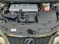 Lexus CT 200h CT 200h 1.8 hybrid F-Sport km 59.000 Grau - thumbnail 21