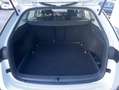 Skoda Octavia Combi 2.0 TDI DSG AHK+NAVI-COLUMBUS+LED+ Weiß - thumbnail 11
