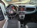 Fiat Panda Panda 0.9  Turbo  4x4 Bianco - thumbnail 10