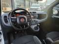 Fiat Panda Panda 0.9  Turbo  4x4 Bianco - thumbnail 9