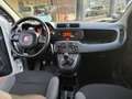 Fiat Panda Panda 0.9  Turbo  4x4 Bianco - thumbnail 12