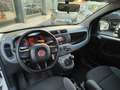 Fiat Panda Panda 0.9  Turbo  4x4 Bianco - thumbnail 11