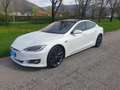 Tesla Model S Model S Performance Ludicrous awd Bianco - thumbnail 5