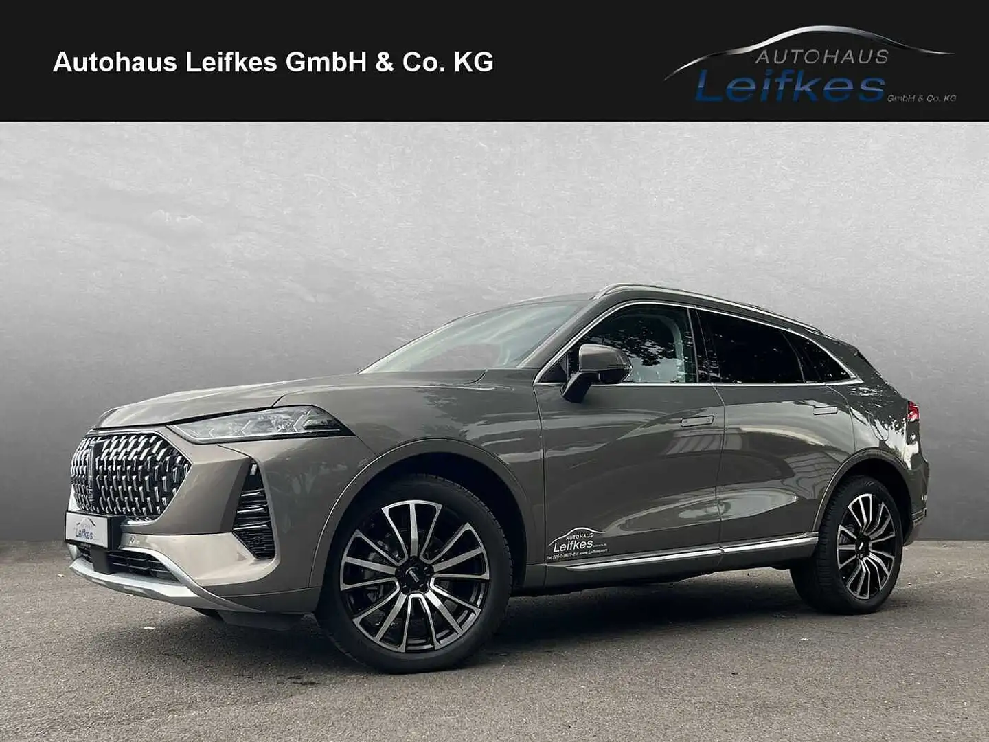 GWM WEY 05 Plug-In-Hybrid Premium Grau - 1