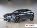 CUPRA Formentor 2.0 TSI 190 PS DSG 4Drive Grau - thumbnail 1
