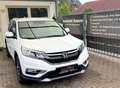Honda CR-V Lifestyle 4WD | R-KAMERA | NAVI | ALCANTARA Weiß - thumbnail 3