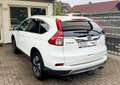 Honda CR-V Lifestyle 4WD | R-KAMERA | NAVI | ALCANTARA Weiß - thumbnail 14
