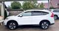 Honda CR-V Lifestyle 4WD | R-KAMERA | NAVI | ALCANTARA Weiß - thumbnail 11