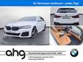 BMW 530 d xDrive Touring M Sport ACC RFK HiFi AHK Blanco - thumbnail 1