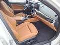 BMW 530 d xDrive Touring M Sport ACC RFK HiFi AHK Blanco - thumbnail 9