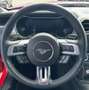 Ford Mustang Convertible, MagneRide *Foliert Rot - thumbnail 13