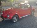 Volkswagen Coccinelle Kit Car Hoffman SpeedsterCabriolet - thumbnail 3