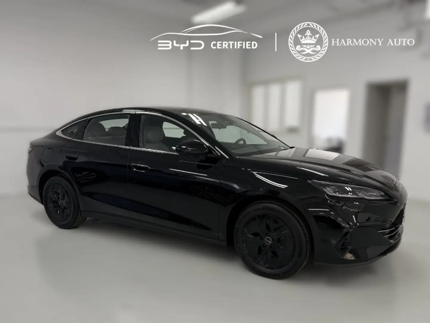 BYD Seal 6 DM-i Boost 135kW Negro - 1