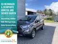 Ford EcoSport Titanium Rückfahrkamera, PDC vo+hi, Außenspiege... Grey - thumbnail 1