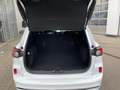 Ford Kuga ST-Line X AHKschwenkb Voll-LED Navi Kamera Wit - thumbnail 15