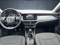 Skoda Kamiq 1.0 TSI Ambition LED SHZ PDC Gri - thumbnail 12