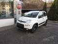 Fiat Panda 4 X 4 WILD Bianco - thumbnail 4