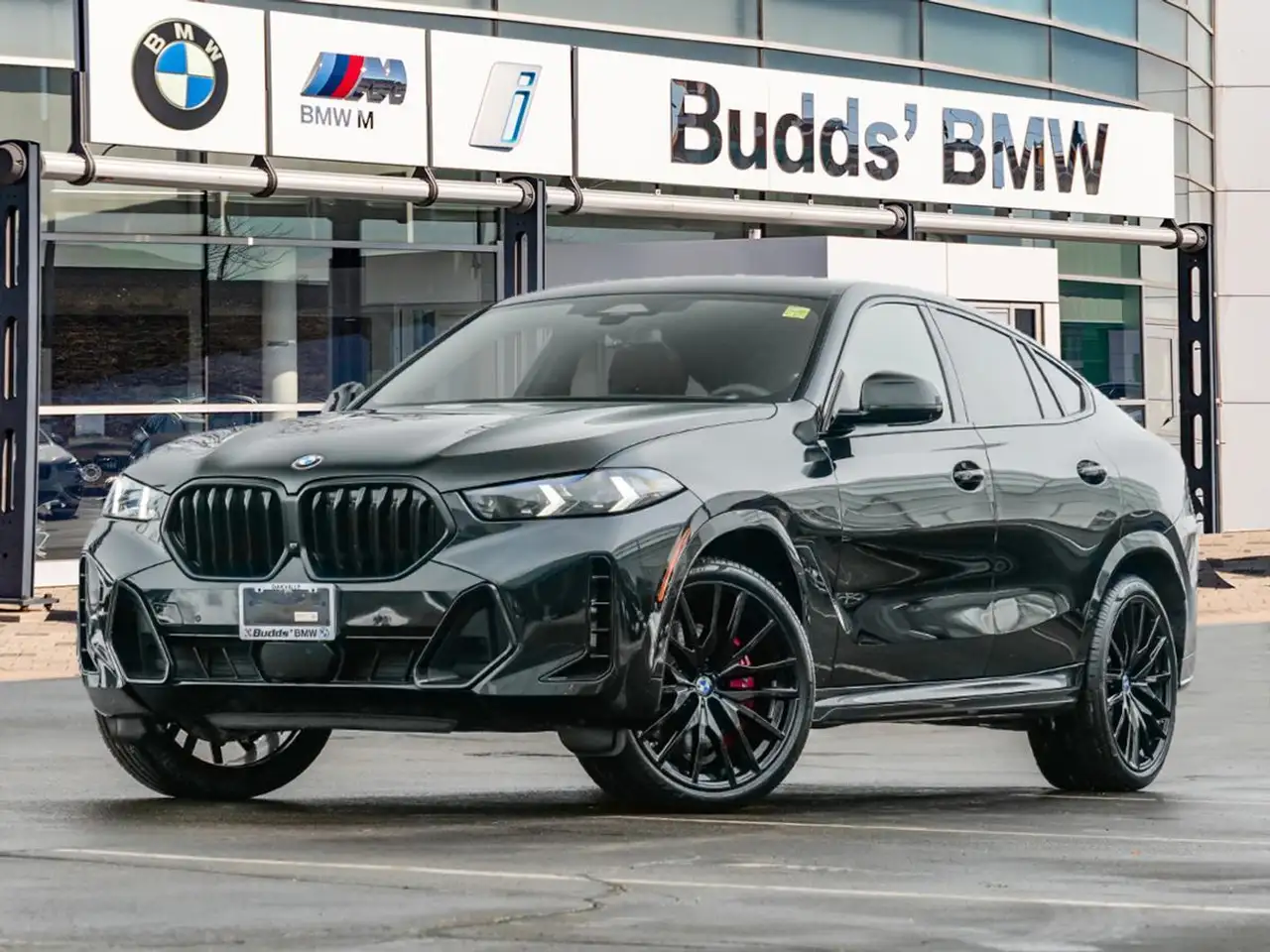 2025 BMW X6