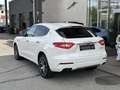 Maserati Levante Diesel Q4 Weiß - thumbnail 8